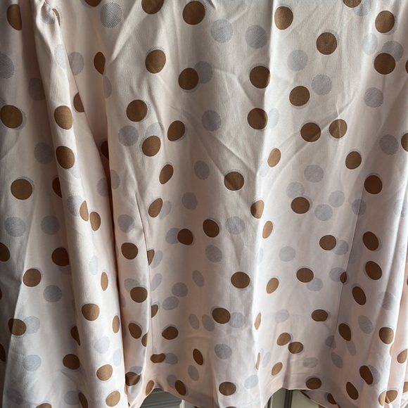 Ann Taylor Factory Blush Blouse with dark tan and gray dots. - Picture 6 of 7